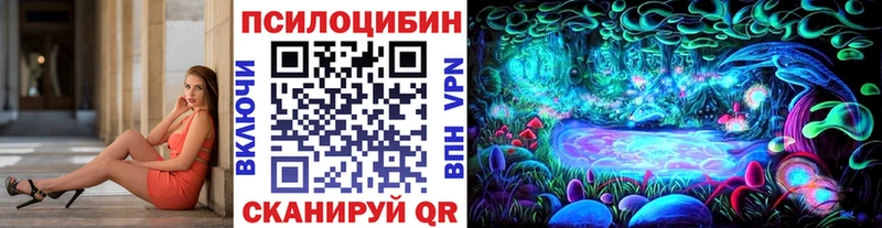 дарнет шоп  мориарти как зайти  Псилоцибиновые грибы GOLDEN TEACHER  Элиста 