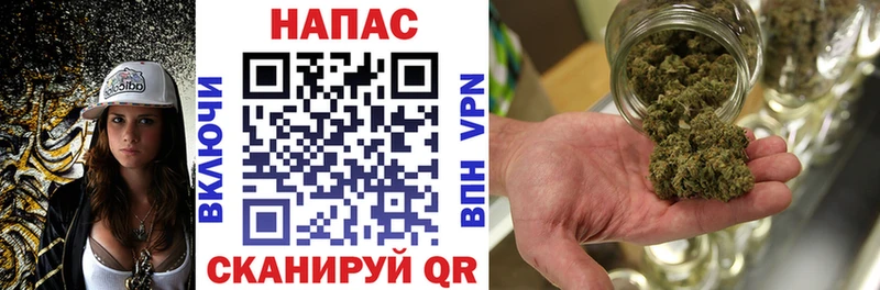 Бошки Шишки VHQ сколько стоит Элиста